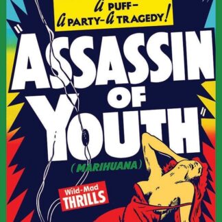 Assassin of Youth Poster 24" x 36"