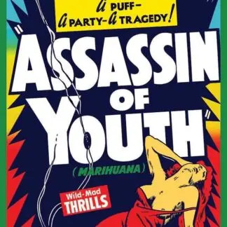 Assassin of Youth Poster 24" x 36"