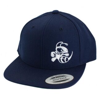 Discraft Snapback Hat w/ Buzzz Design