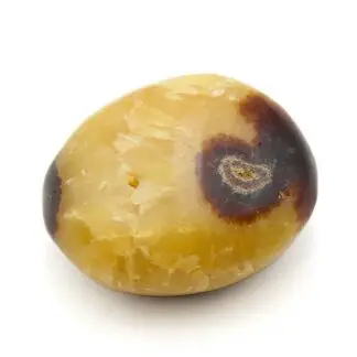 Earth's Elements Palmstones Septarian