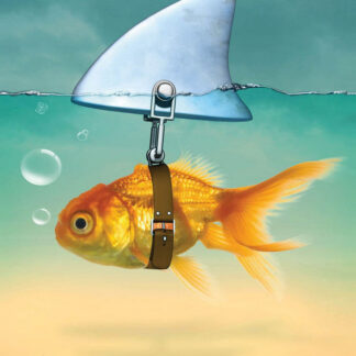 Gold Fish - Shark Fin Poster 24" x 36"