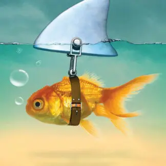 Gold Fish - Shark Fin Poster 24" x 36"