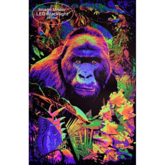 Gorilla Encounter Non-Flocked Blacklight Poster 24x36