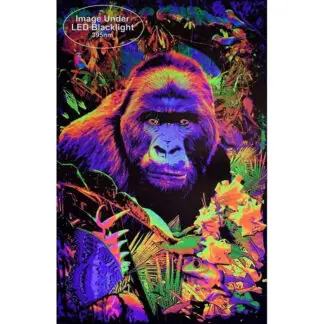 Gorilla Encounter Non-Flocked Blacklight Poster 24x36