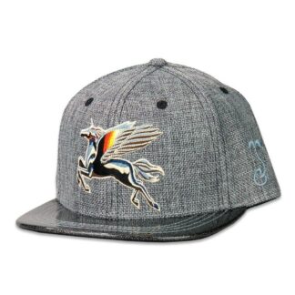 Grassroots Stanley Mouse Spirit Traveler Glitter Kids Snapback OSFM Gray