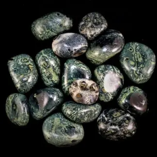 Kambaba Jasper Pebble by Size Small