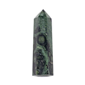Kambaba Jasper Tower by Weight 865g
