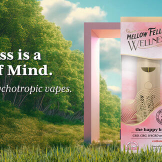 Mellow Fellow Wellness Blend Disposable 1mL The Happy Blend CDB / CBG / H4CBD / CBN (Cotton Candy)