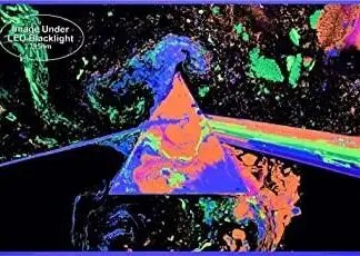 Pink Floyd Prism Art Blacklight Poster