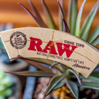 RAW Maestro Cone Tips 32ct