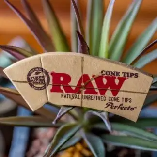 RAW Perfecto Cone Tips 32 ct