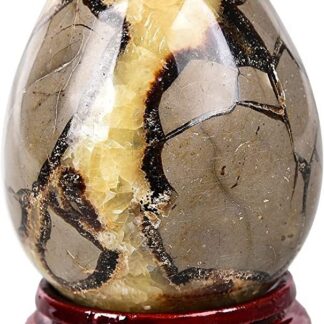 Septaria Dragon Eggs 1st Choice