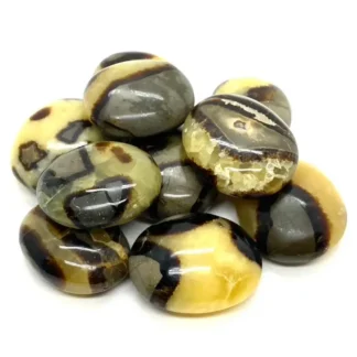 Septarian Pebble by Size XS