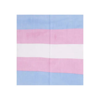 Sunshine Joy Trans Flag Bandana 22x22