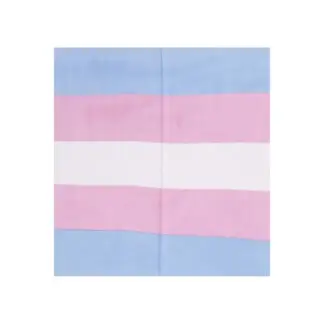 Sunshine Joy Trans Flag Bandana 22x22