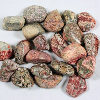 Tumbled Leopard Skin Jasper