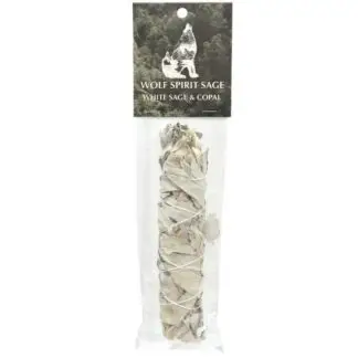 White Sage and Palo Santo Chip Bundle 6-8"