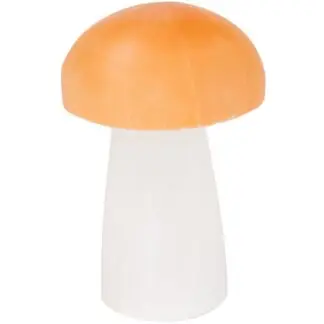 Polished Crystal Mushroom 2" Two-Toned Selenite